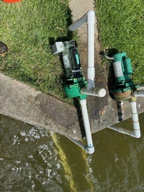 A sprinkler is spraying water on a lush green lawn.
