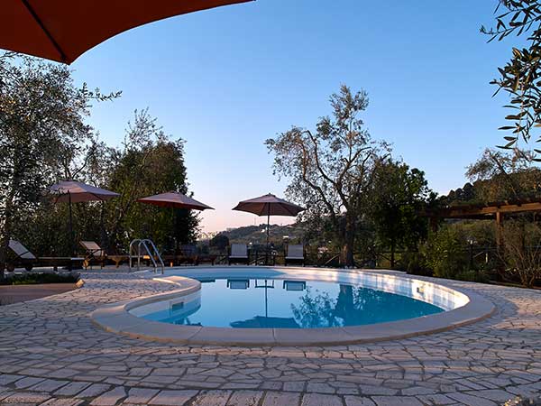 Swimming Pool with Brick Deck — St. Johns & Duval Counties, FL — Fisher Concrete Inc