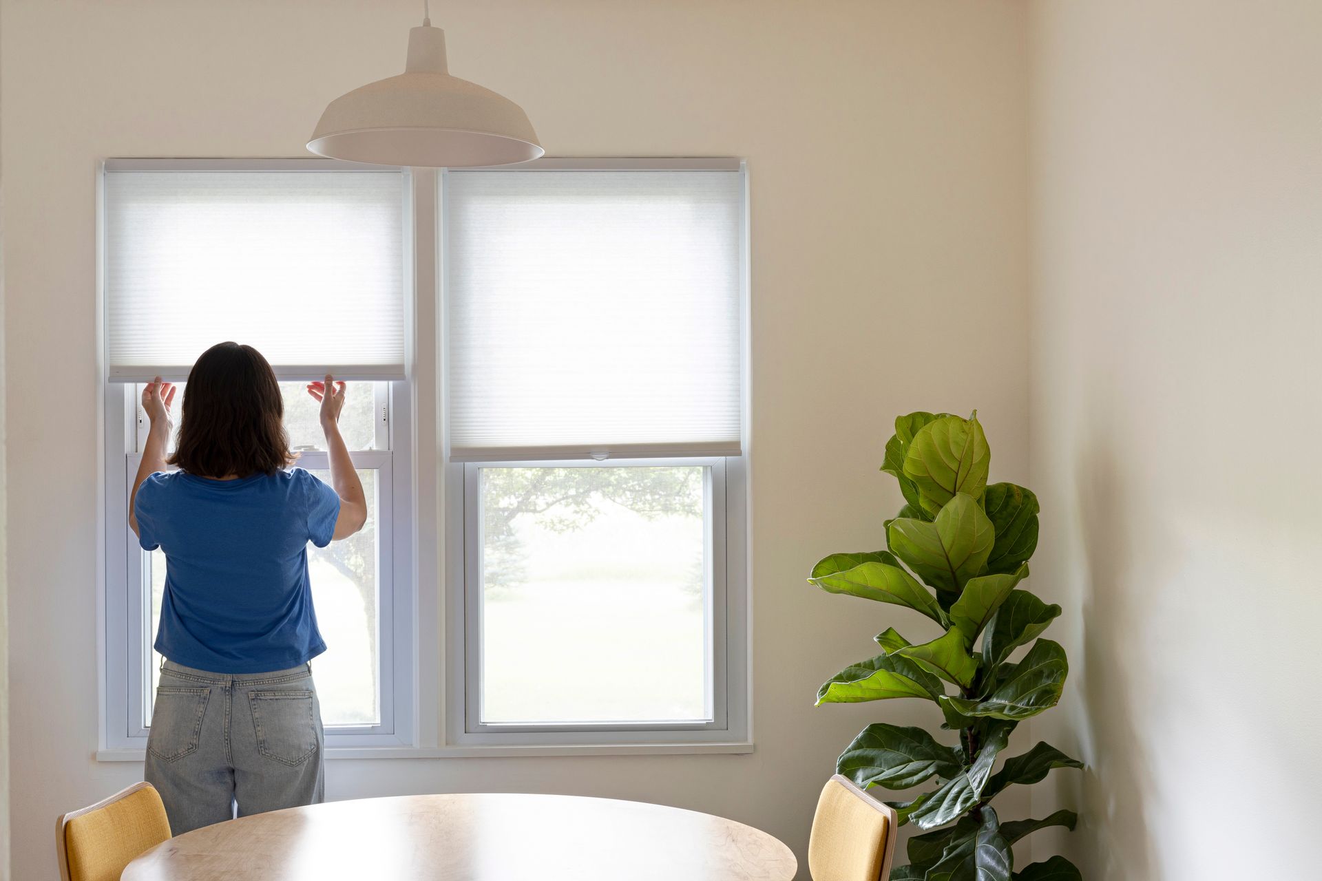 Person adjusting a roller shade in a room with a window, a plant, and a table.