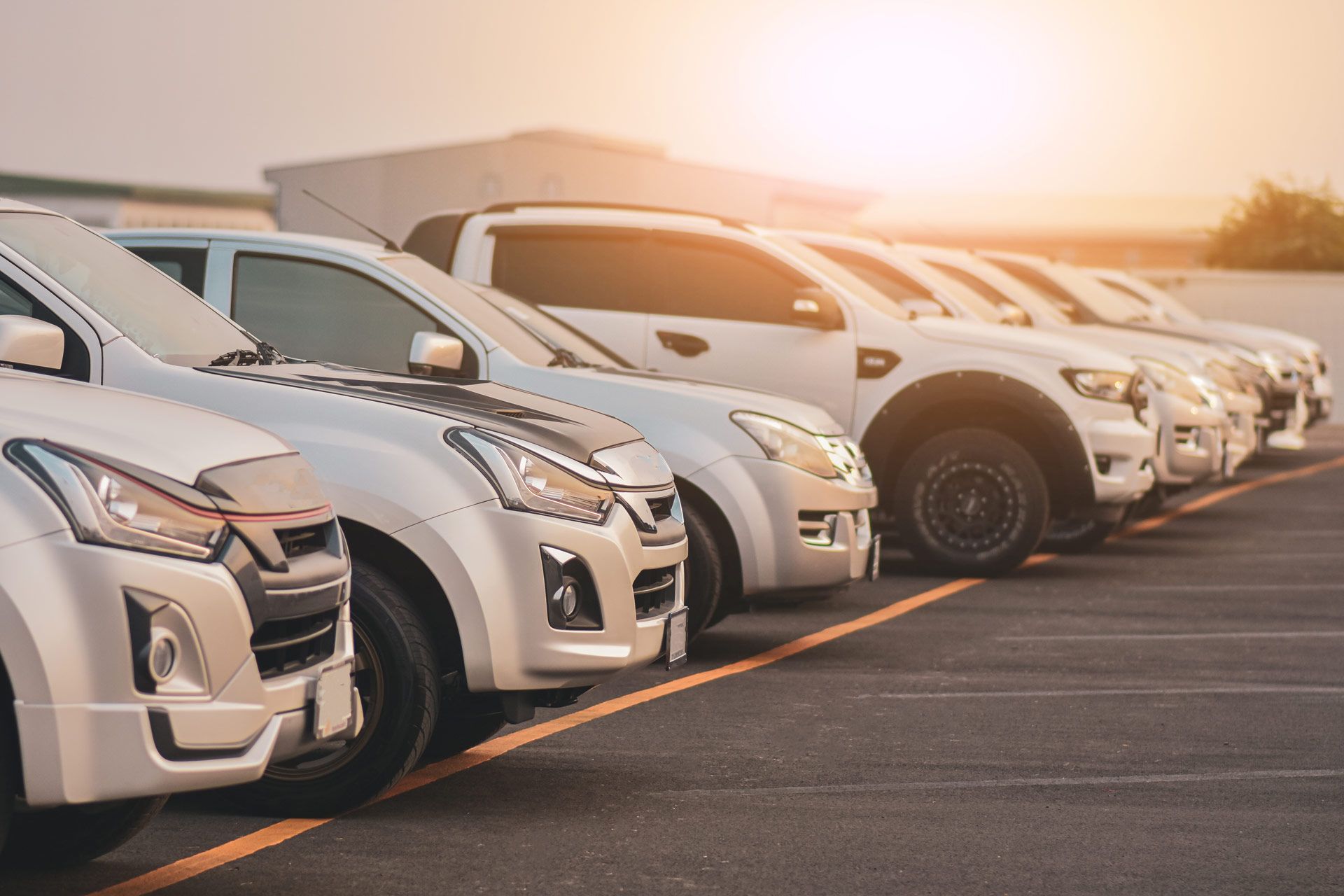 White cars parked in a row, with a sunrise in the background.