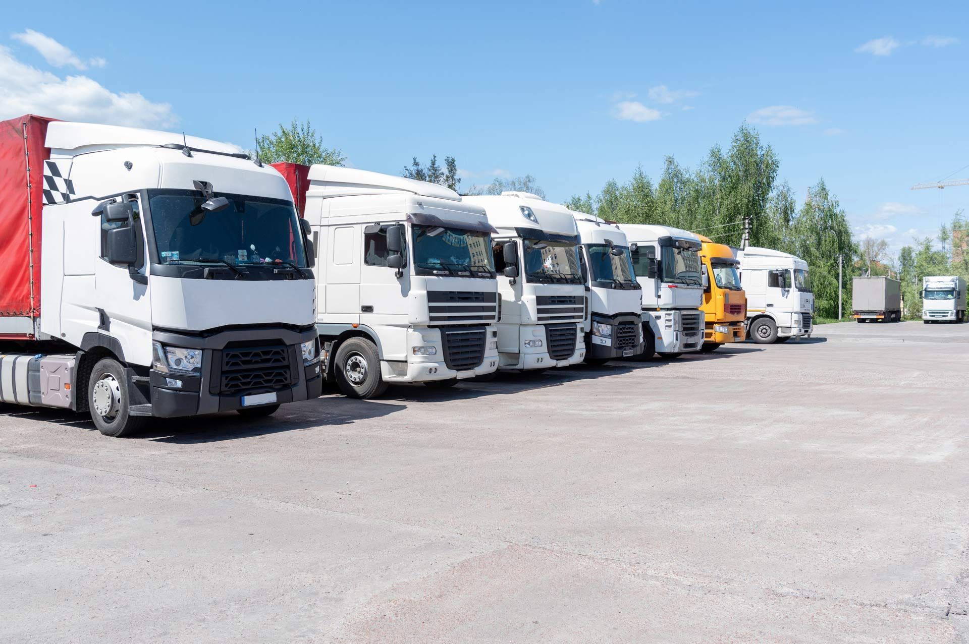 White semi-trucks parked in a row on a sunny, gravel lot under a blue sky.