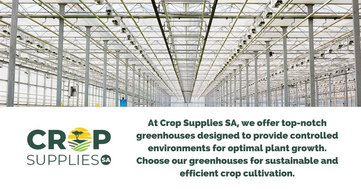 Image Depicting A Row Of Bamboo At Crop Supplies SA