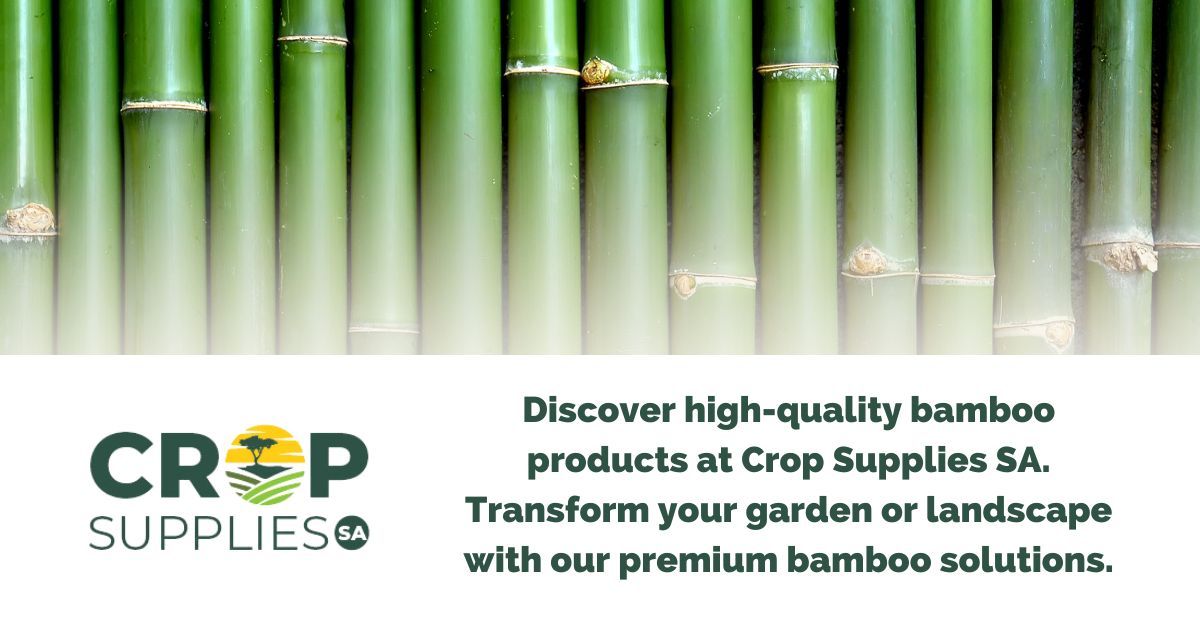 Image Depicting A Row Of Bamboo At Crop Supplies SA