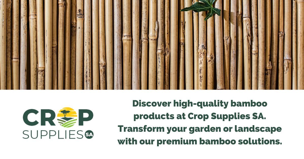 Image Depicting A Row Of Bamboo At Crop Supplies SA