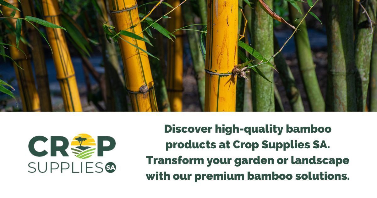 Image Depicting A Row Of Bamboo At Crop Supplies SA