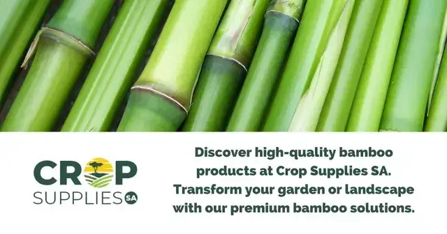 Image Depicting A Row Of Bamboo At Crop Supplies SA