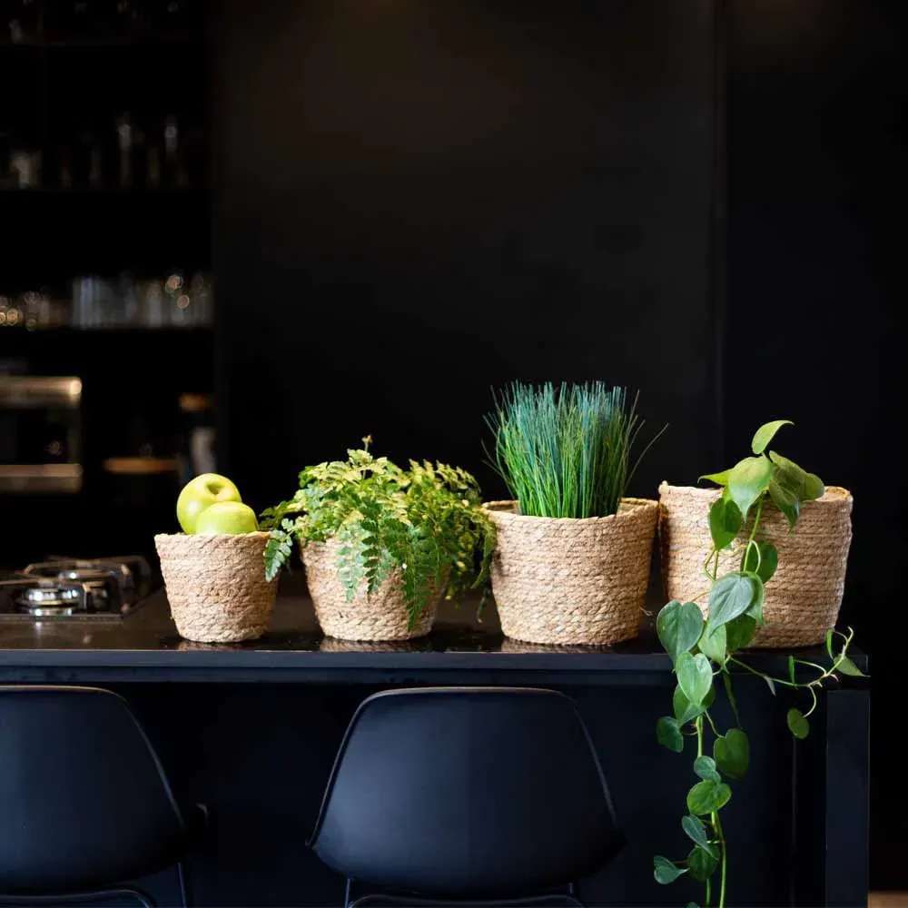 FLOWER POTS
