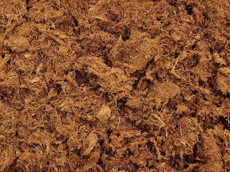 peat moss