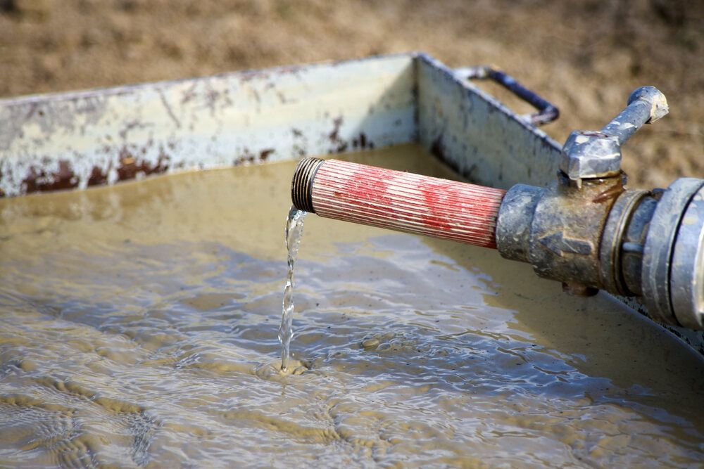Water Flows From a Pipe Into a Shallow, Muddy Trough Outdoors — Local Drilling Services In Kilcoy, QLD