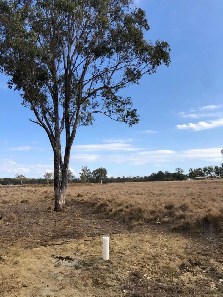 Brown Field With a Tall Tree in the Center — Local Drilling Services In South Burnett, QLD