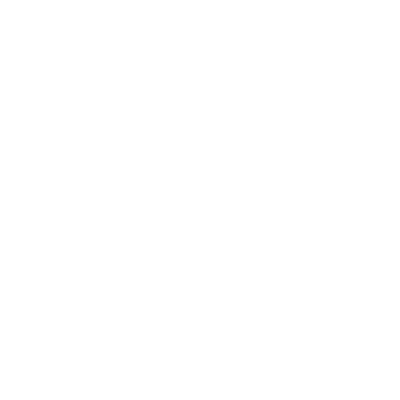 Leading Nike Logo