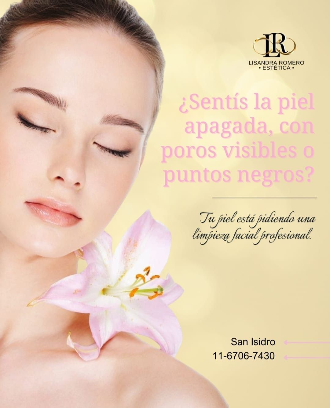 Folleto promocional de un servicio facial profesional 