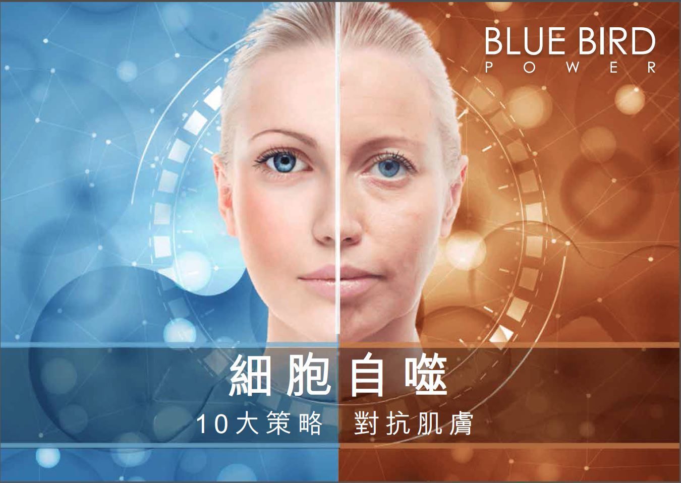 圖中顯示的是一位女士接受藍鳥能量治療前後的臉。