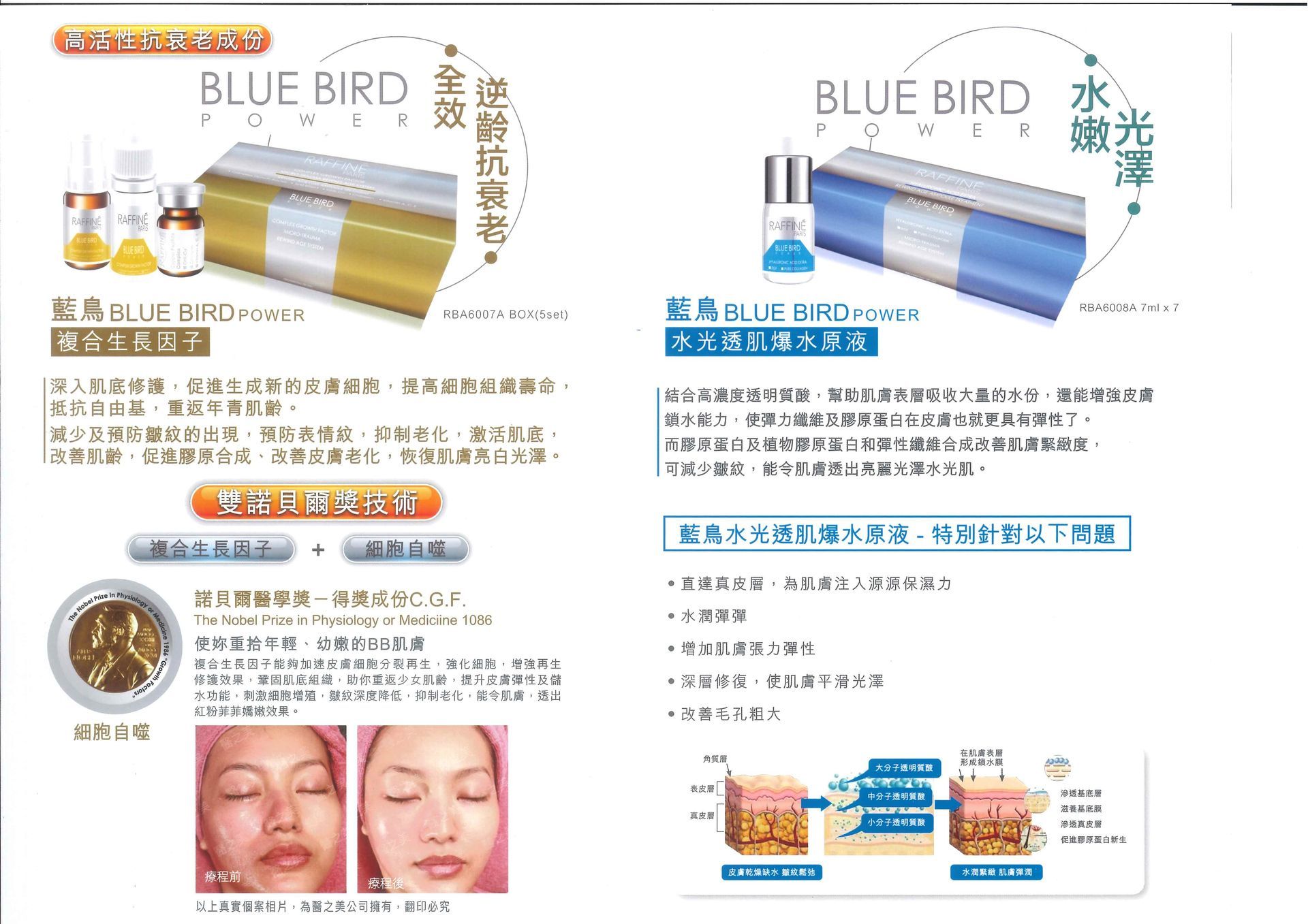 帶有女性臉部照片的藍鳥廣告