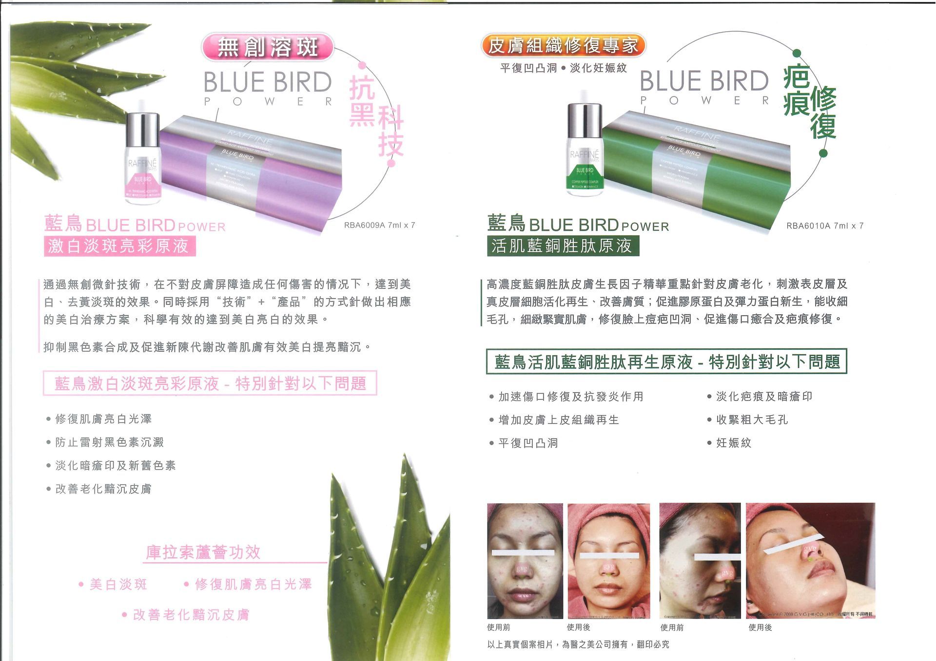 名為“藍鳥”的產品的小冊子