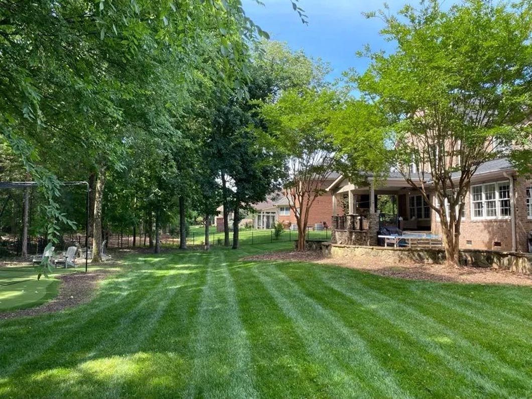 A lush green lawn in front of a house surrounded by trees.