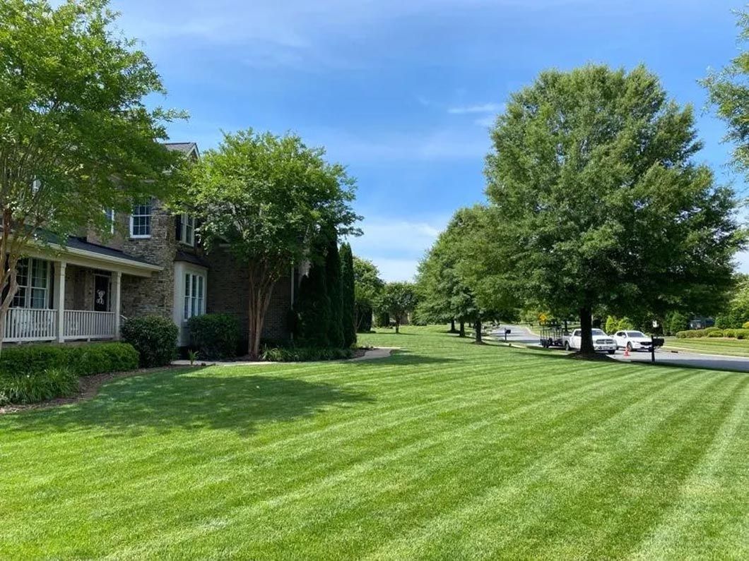 A lush green lawn in front of a house on a sunny day.