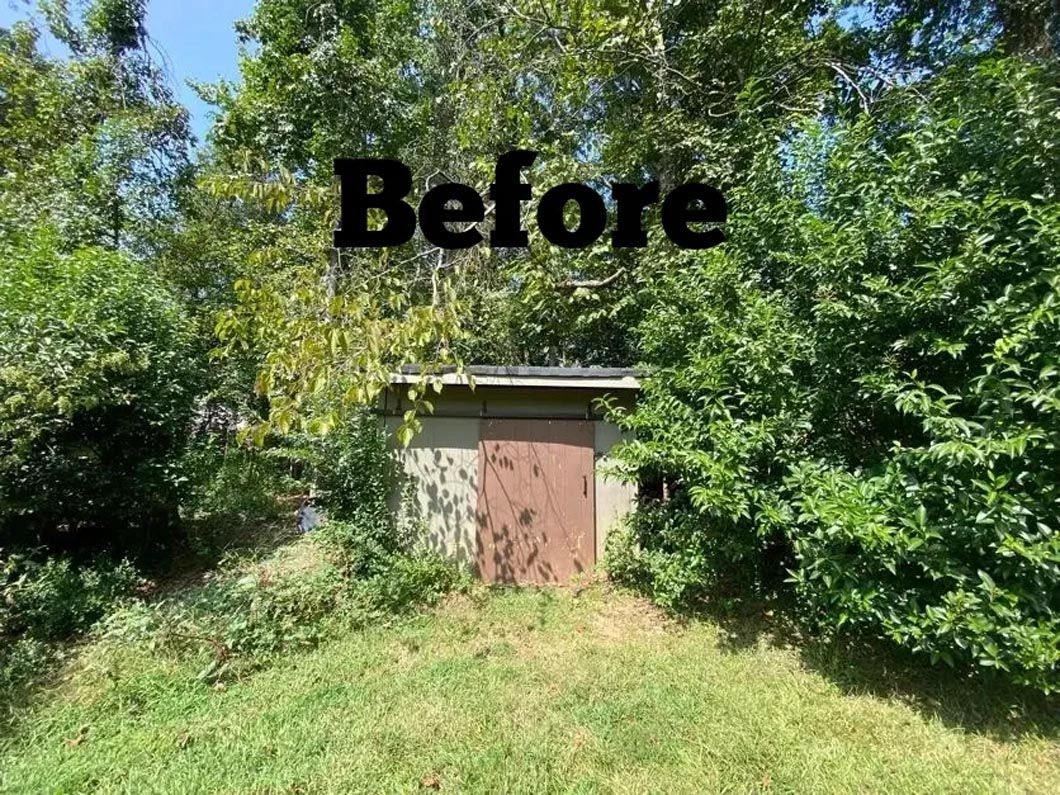 A before picture of a shed in a backyard surrounded by trees.