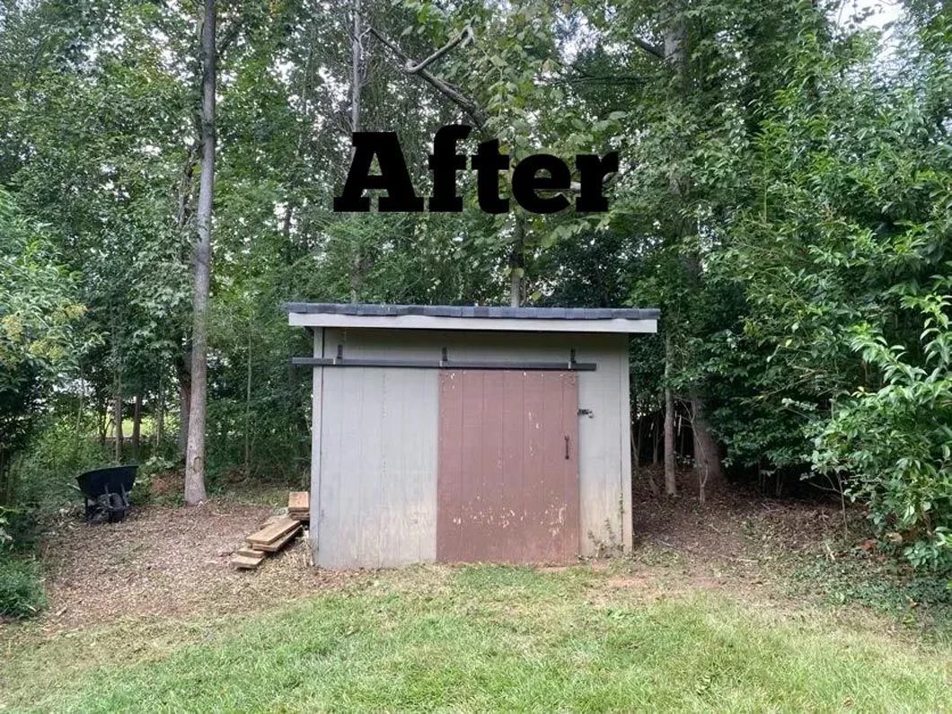 A shed is sitting in the middle of a lush green field surrounded by trees.