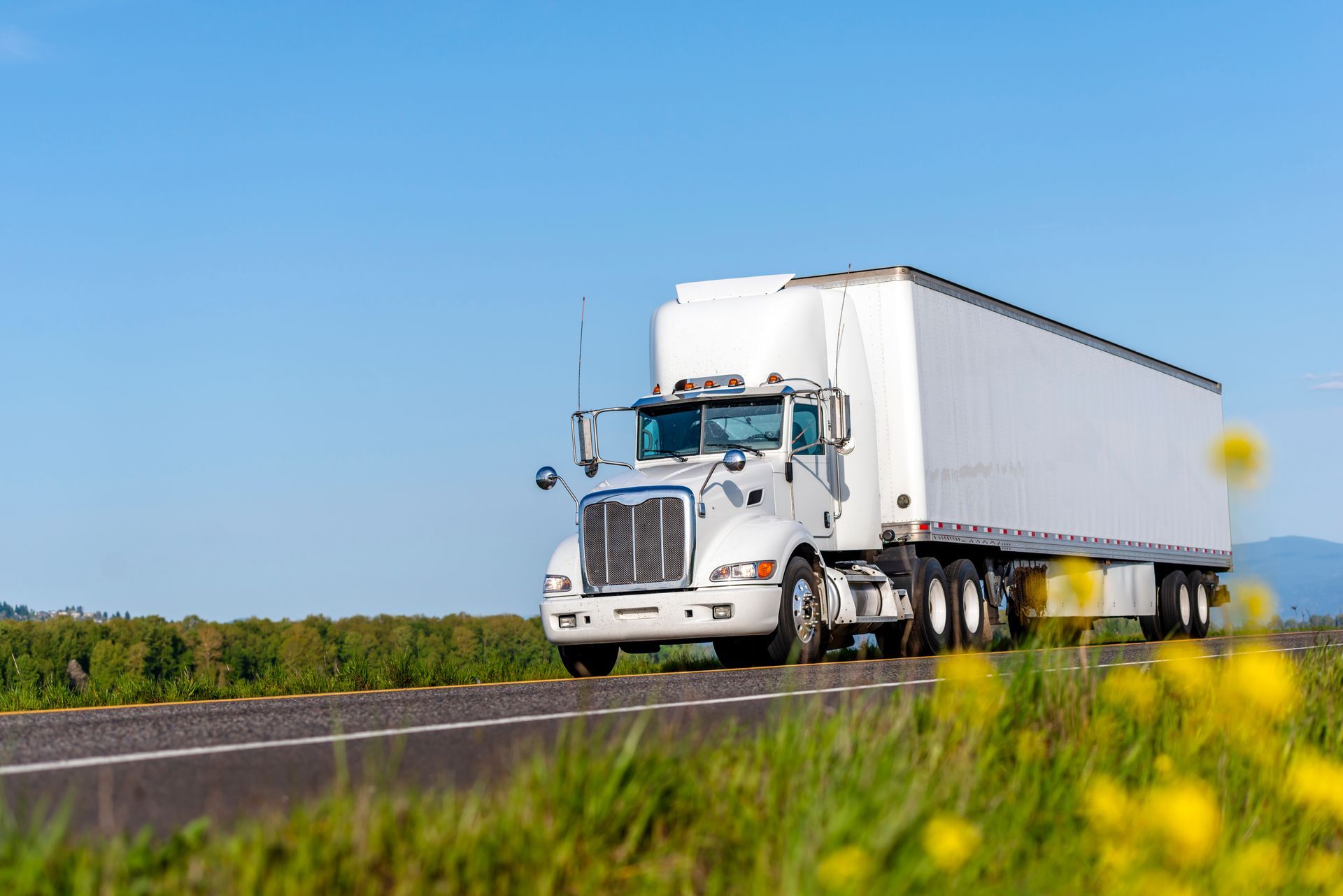 A white semi truck is driving down a highway next to a field of yellow flowers.