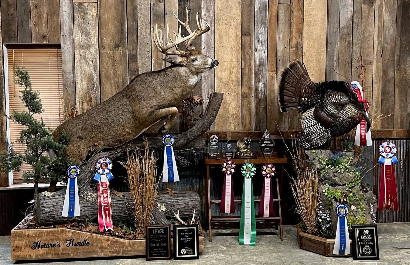 Bourke's Taxidermy Fan Favorites