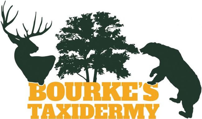 Bourke's Taxidermy Logo