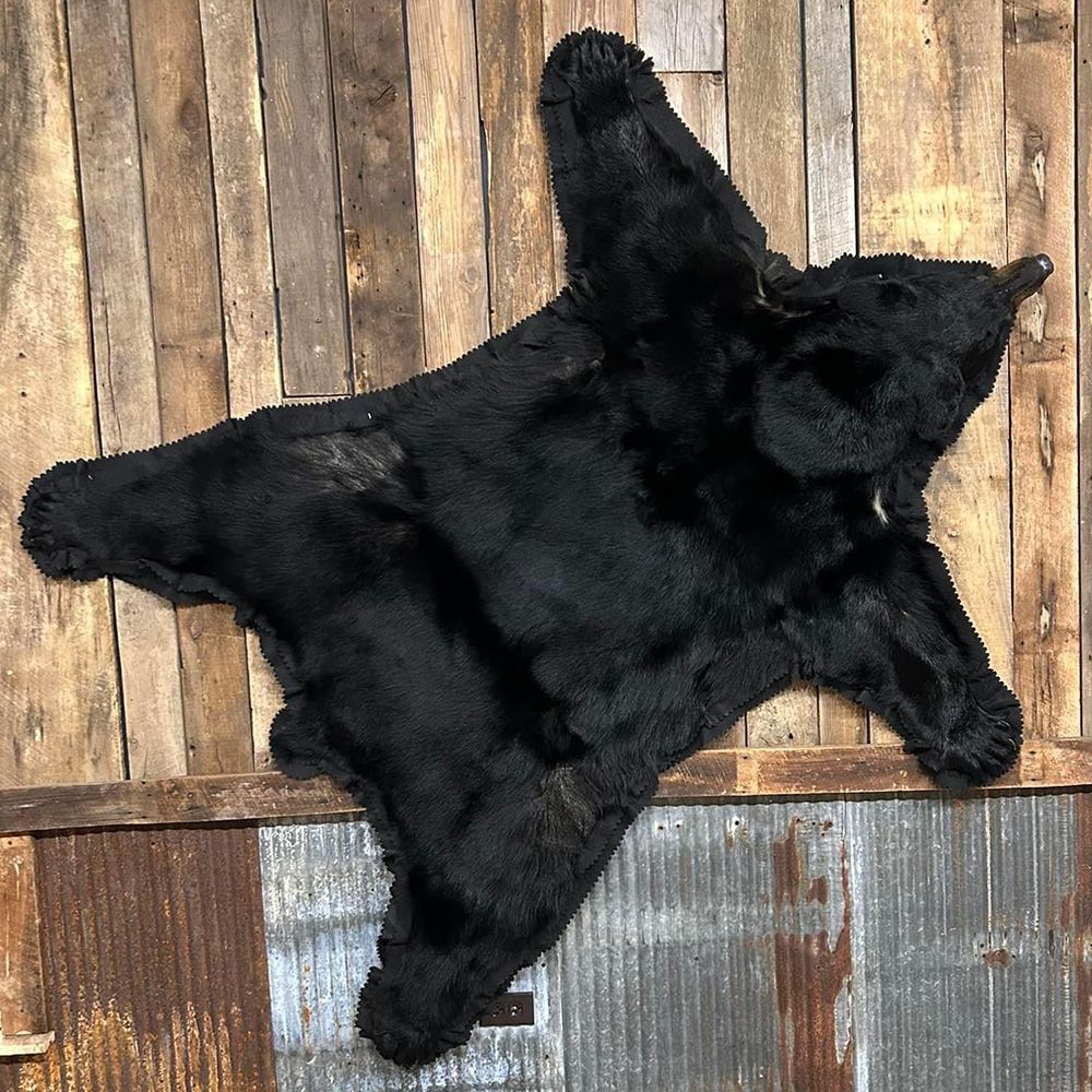 Bourke's Taxidermy Big Game Mounts