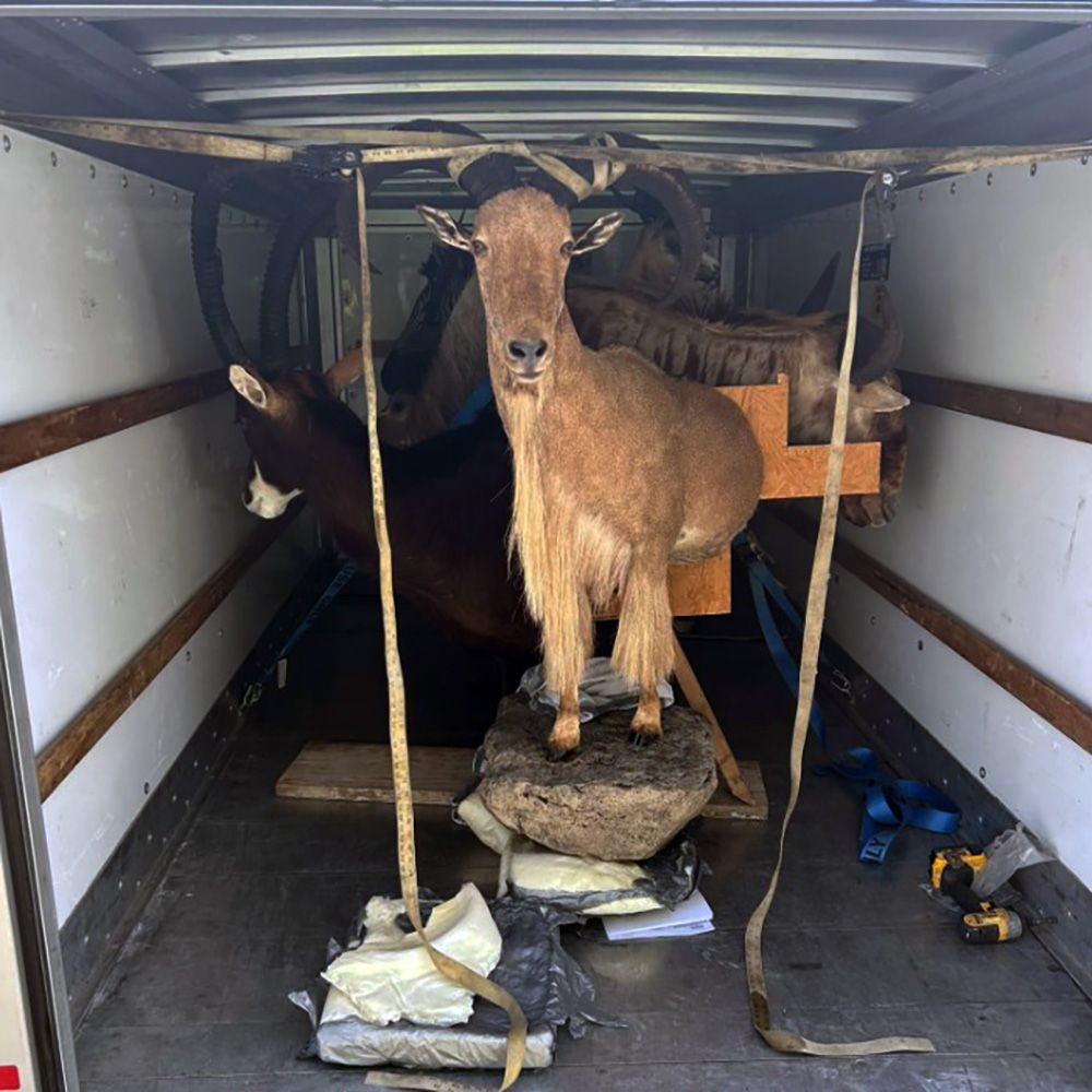 Shipping & Remote Services