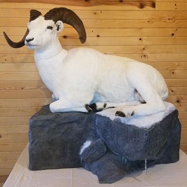 Big Game Mounts