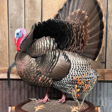 Turkey Mounts