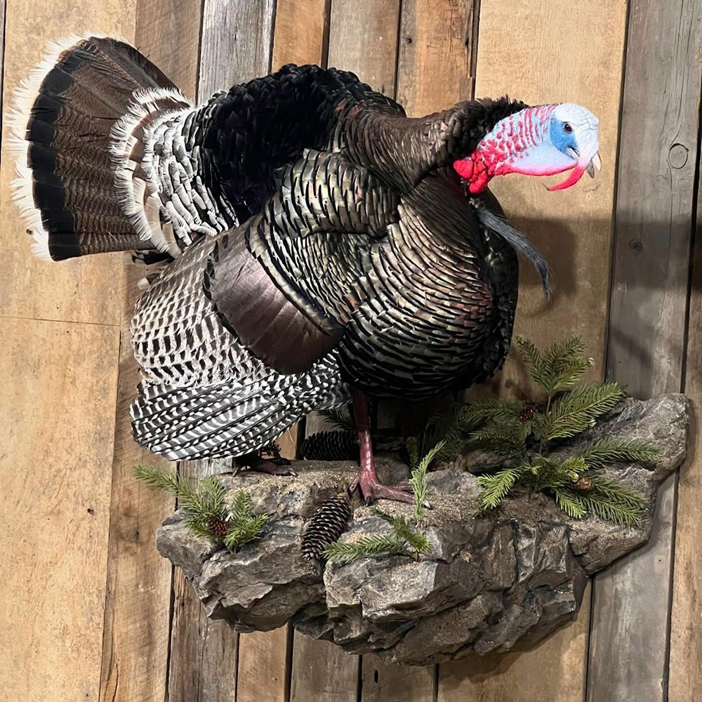 Turkey Mounts