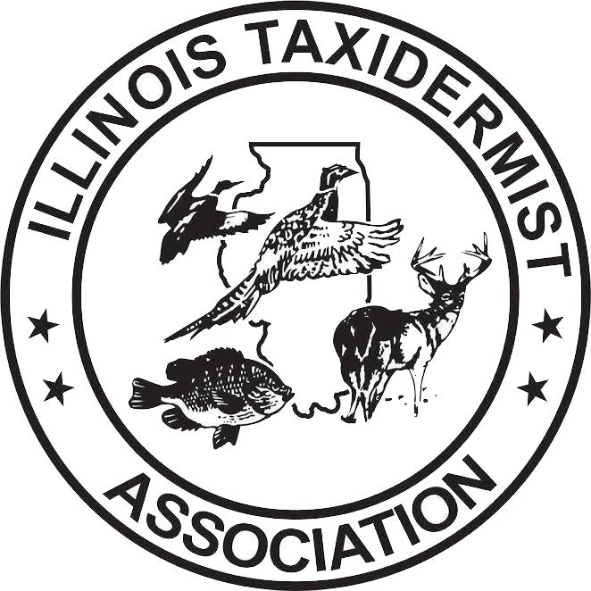 Illinois Taxidermist-Association-Logo