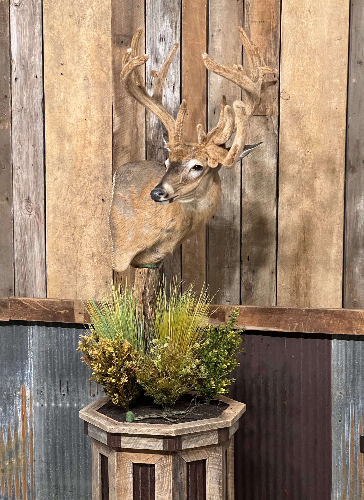 Custom Pedestal Mounts