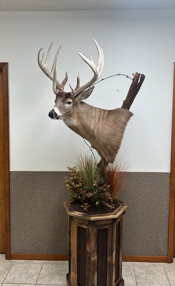 Pedestal Mounts