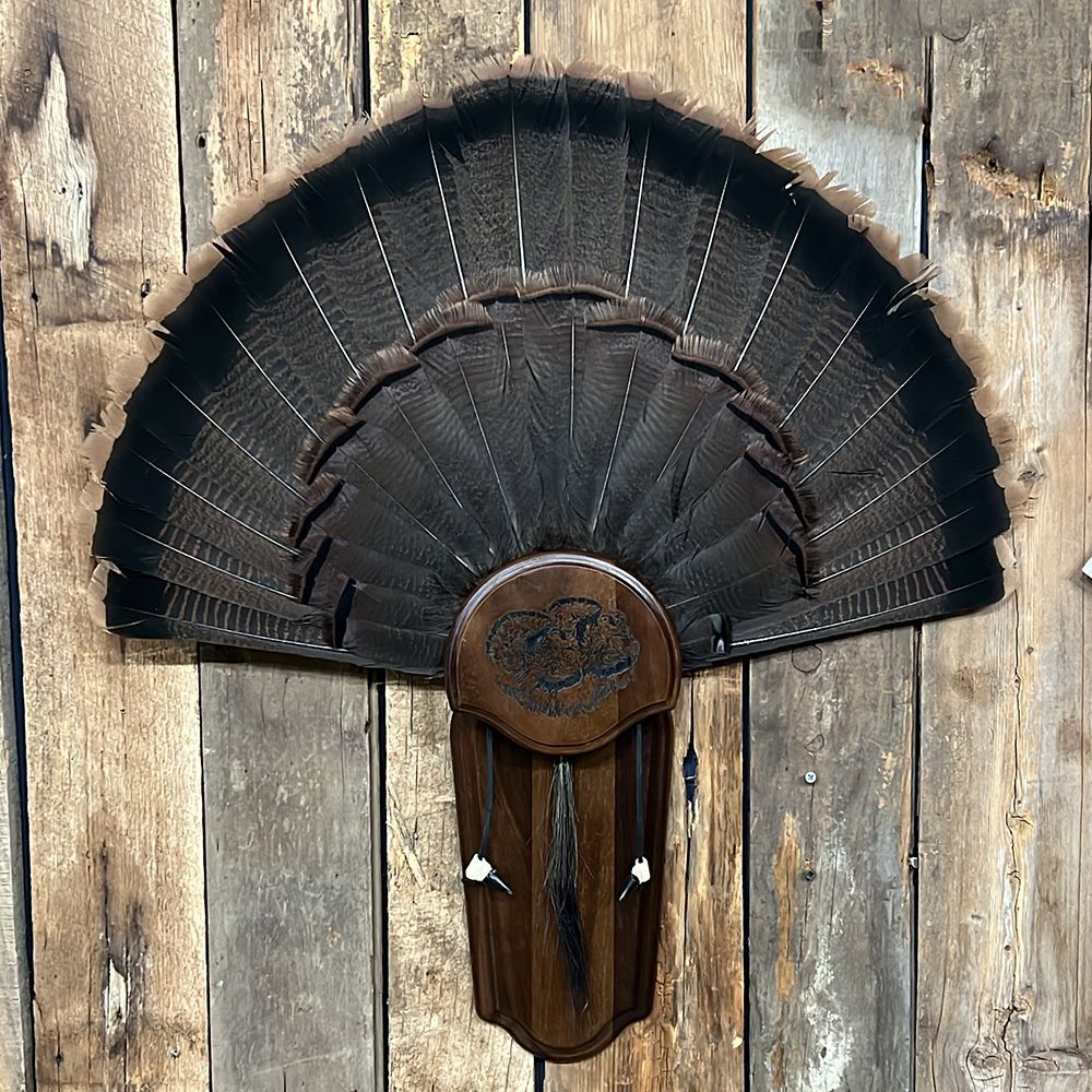 Bourke's Taxidermy Turkey Mounts