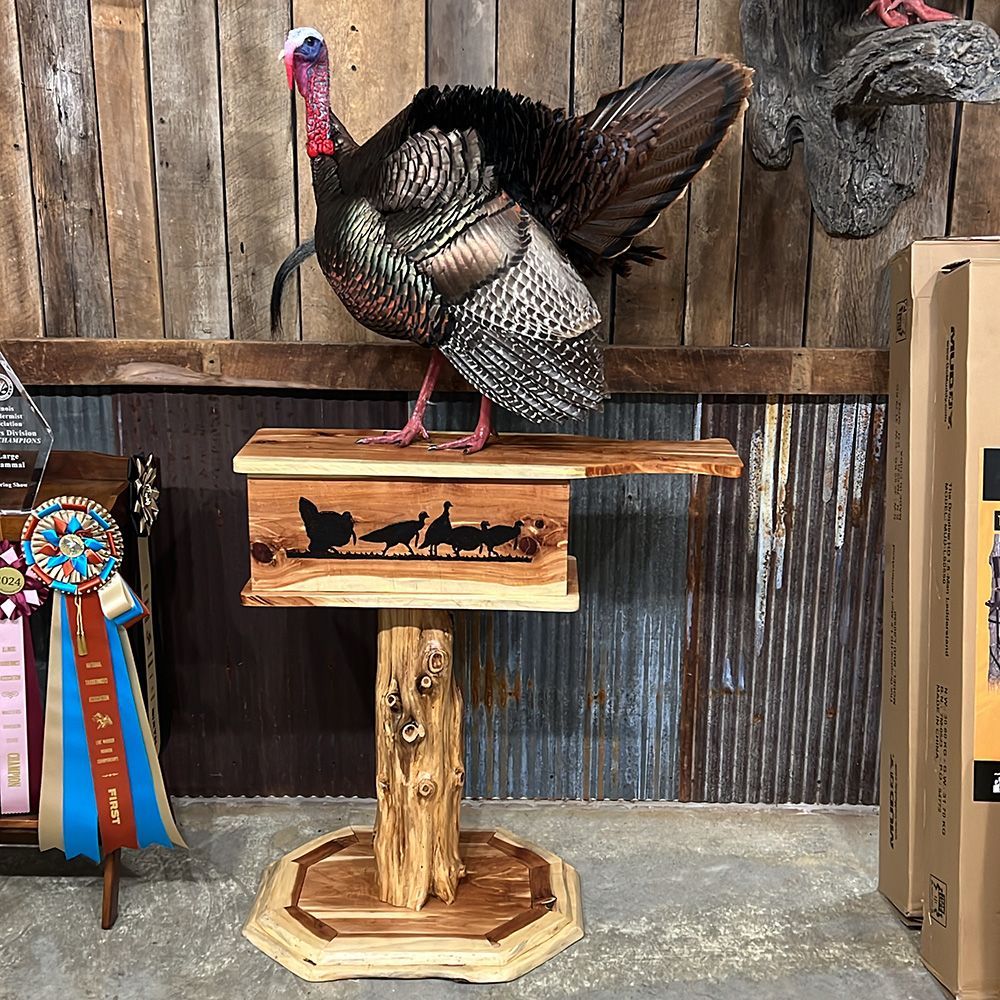 Bourke's Taxidermy Turkey Mounts