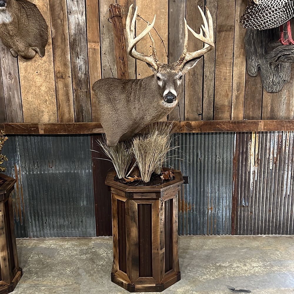 Bourke's Taxidermy Whitetail Deer Mounts