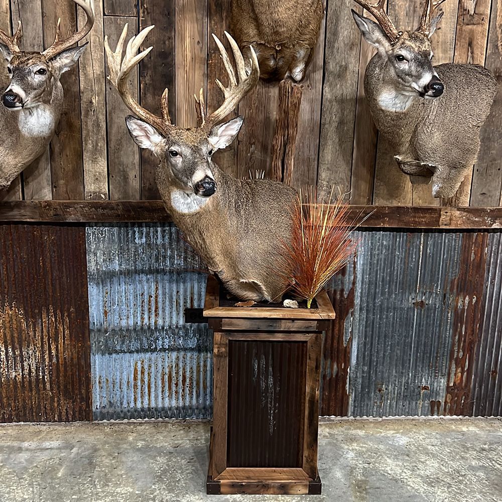 Bourke's Taxidermy Whitetail Deer Mounts