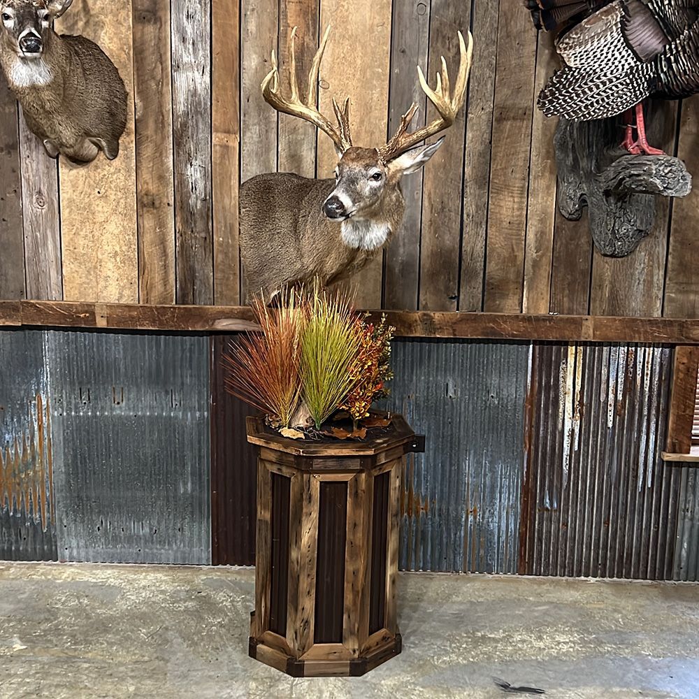 Bourke's Taxidermy Whitetail Deer Mounts