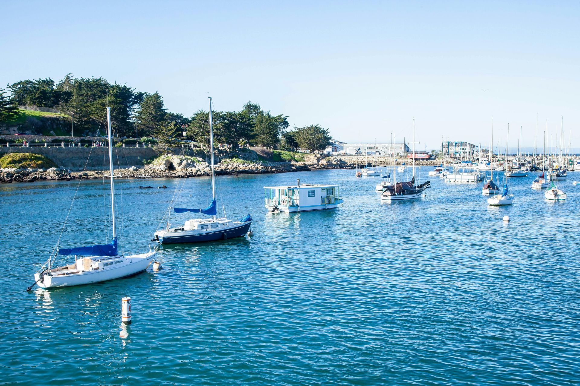 Sailboats and small fishing boats anchored in a calm, blue harbor with a tree-lined coastline in the background.