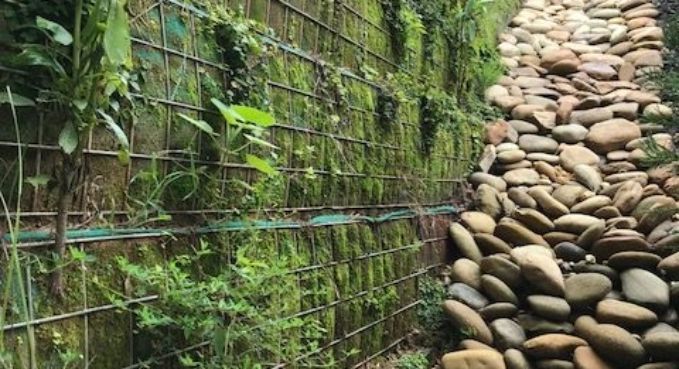 Critical Structure 19
