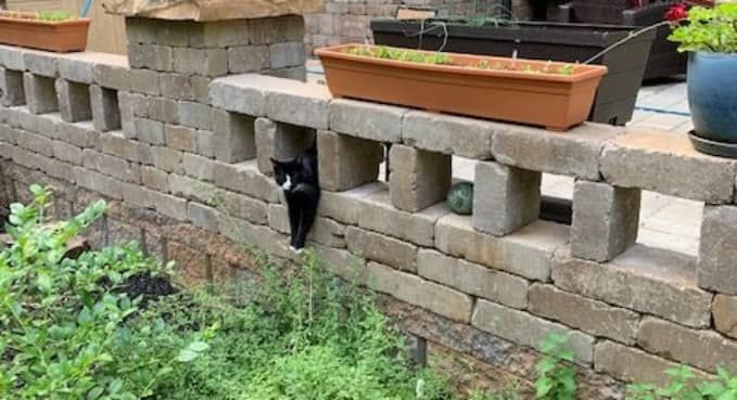 Pavers Seat Walls Columns 31