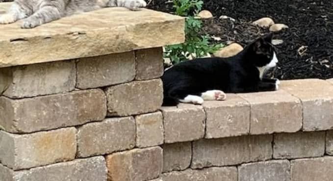 Pavers Seat Walls Columns 4