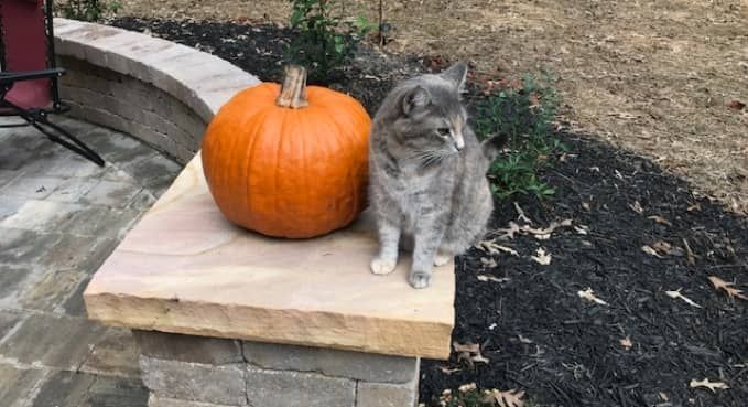 Pavers Seat Walls Columns 6
