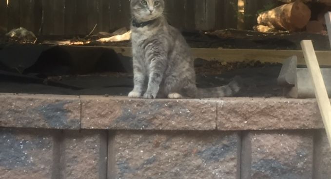 Block Retaining Wall 15
