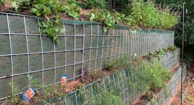 Living Retaining Walls 1