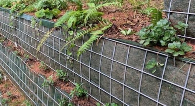 Living Retaining Walls 4
