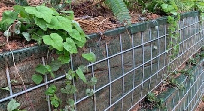 Living Retaining Walls 5