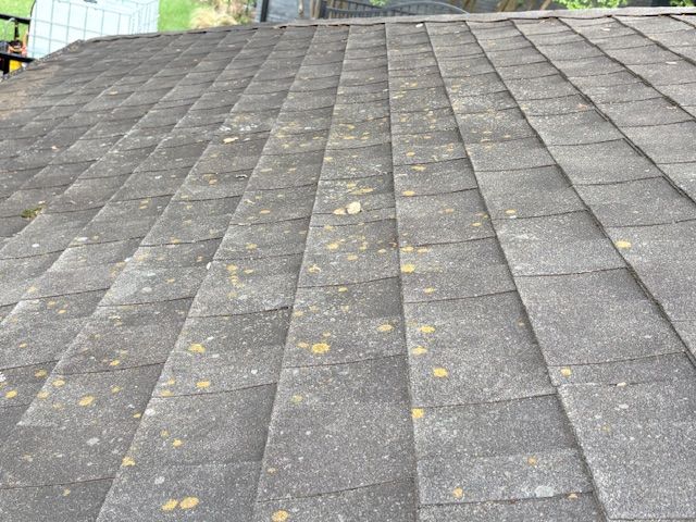 Two pairs of shoes on concrete beside the words “PASSION LED US HERE” painted on the ground.