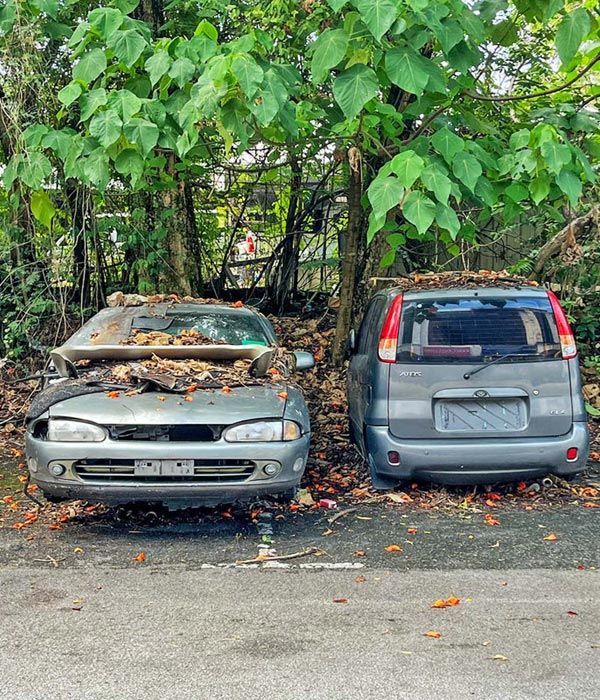 roadside assistance avondale